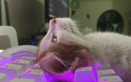 planet of the giants